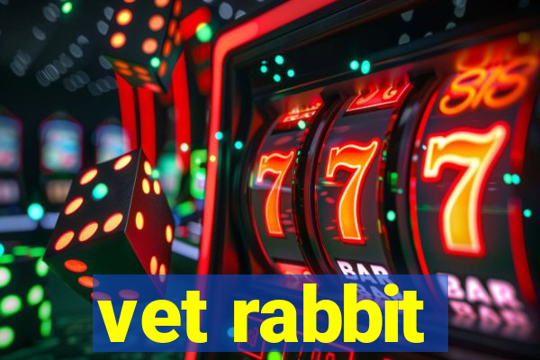 vet rabbit